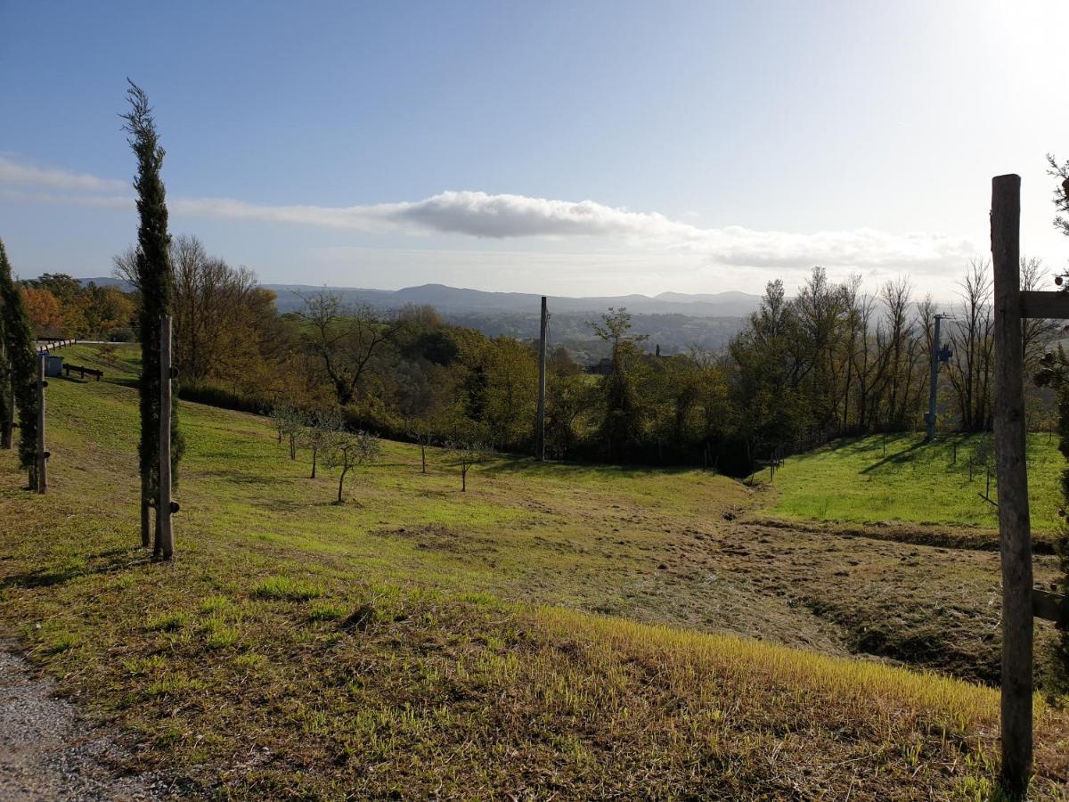 Podere Il Poggio Asciano Exterior photo